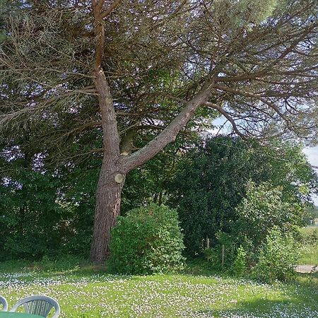 Gite Du Petit Gue Frossay Oda fotoğraf